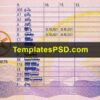 Austria Driving License Template PSD Back