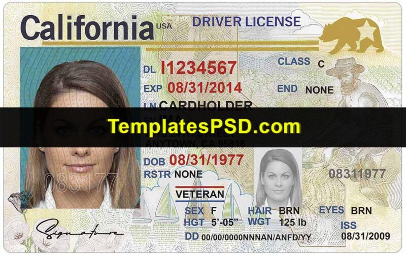 California Drivers License Template Back Front