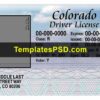 Colorado Drivers License Front PSD template