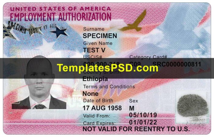 USA Employment Authorization Document Template PSD Front