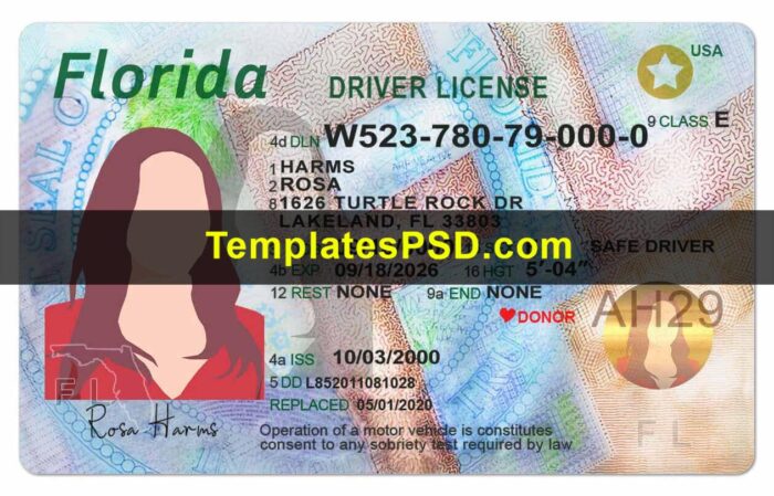 Florida Driving License Template PSD Front