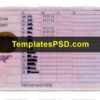 France Drivers License Template PSD back