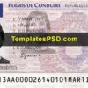 France Driving License Template PSD Front