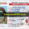 Illinois Drivers License Template PSD