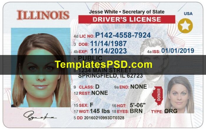 Illinois Drivers License Template PSD