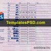 Ireland Driving License Template PSD Back