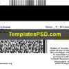 Louisiana Driver License Template New Back