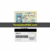 Louisiana Drivers License Template PSD