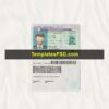 Nebraska Drivers License Template PSD Scan