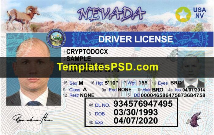 Nevada Driver License Template Front