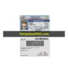 Nevada Driver License Template