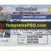 Nevada Driver License Template Front