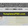 New York Drivers License Back template PSD