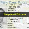 New York Drivers License Front template PSD