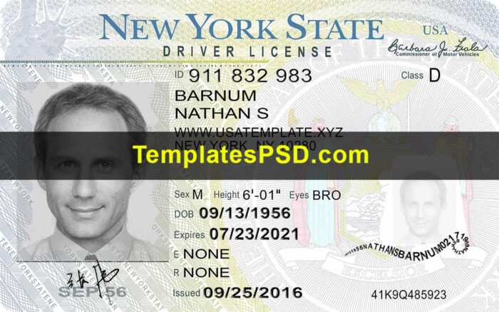 New York Drivers License Front template PSD