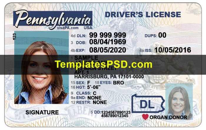 Pennsylvania Driver License Template PSD