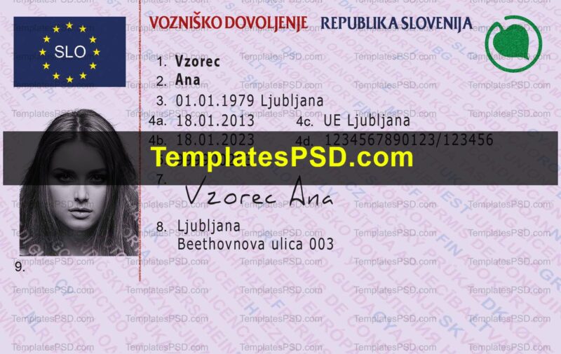 Slovenia Driving License Front