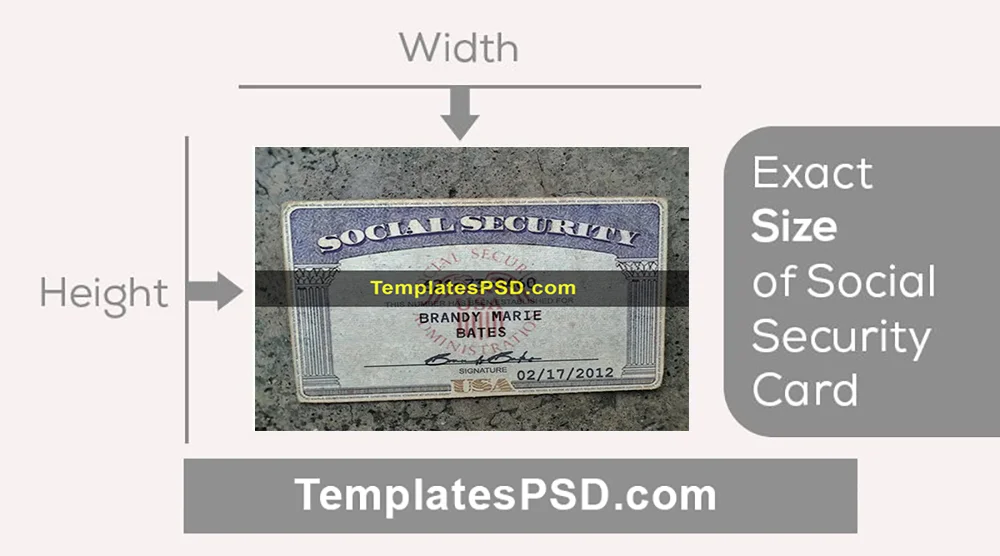 Social Security Card USA Dimensions Size width height