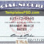 Social Security Card Template PSD Front