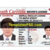 South Carolina Drivers License Template Front