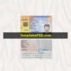 Spain ID Card Template PSD Scan