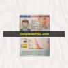 Spain ID Card Template PSD Scan