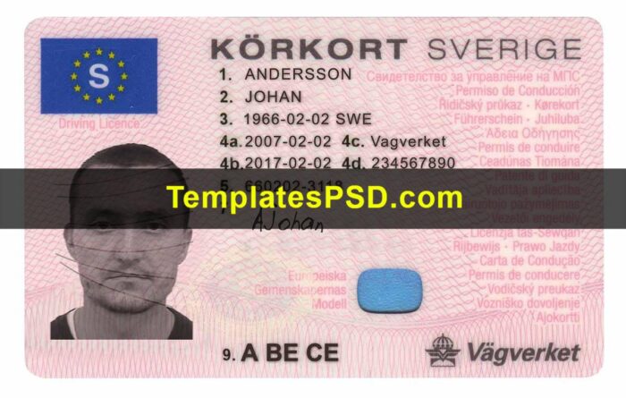 Sweden Drivers License Template PSD