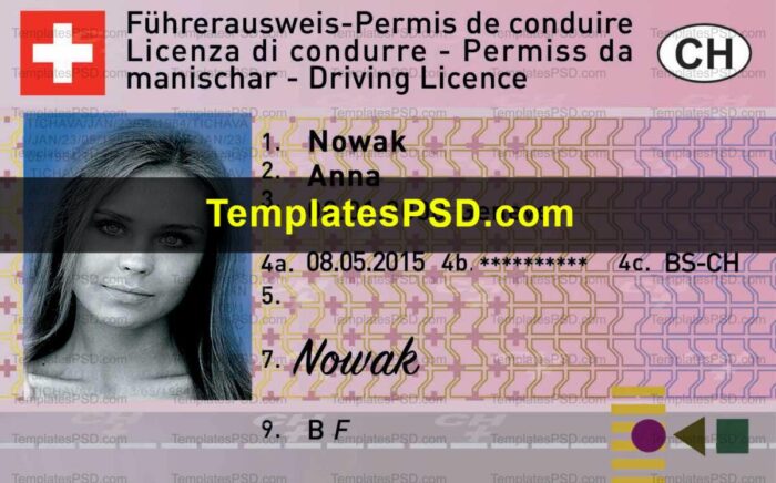 Switzerland Driving License Template PSD Front