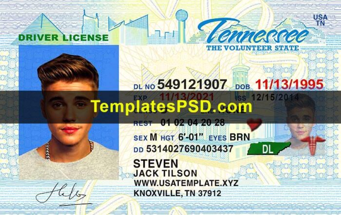 Tennessee Drivers License Template New Front