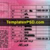 Tunisia Driving license template psd back