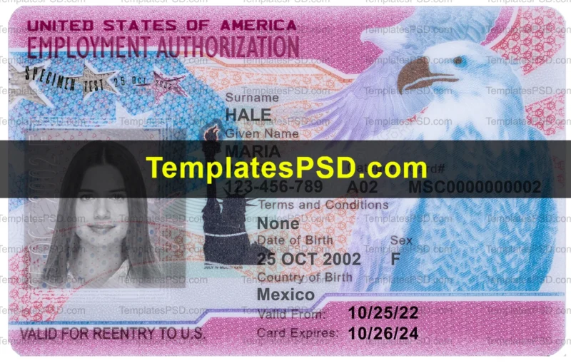 USA Employment Authorization Card Template PSD EAD Work Permit Front