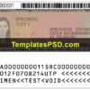 USA Green Card Template PSD Back