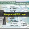 USA Green Card Template PSD Front