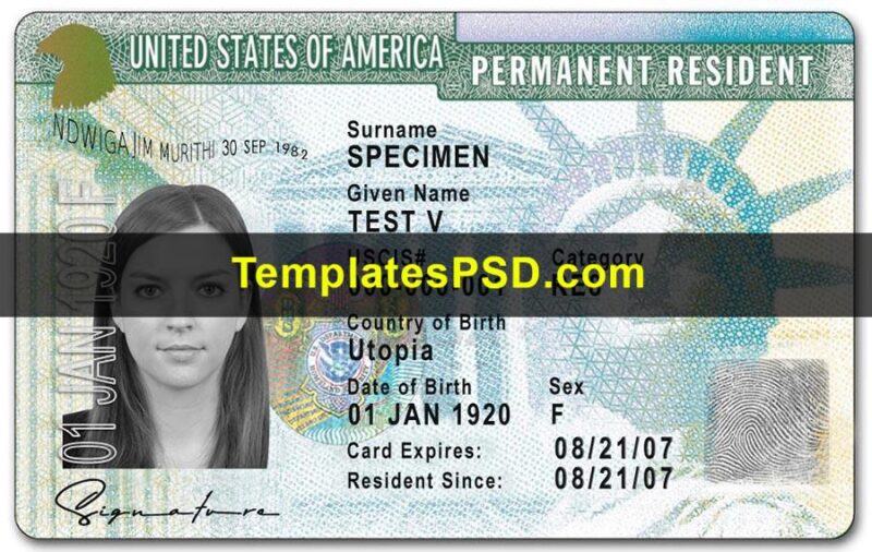 USA Green Card Template PSD Front