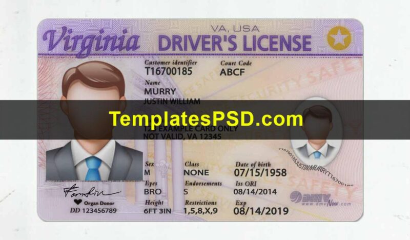 Virginia Drivers license template psd Front